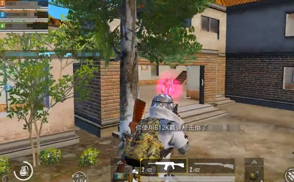 和平精英虎牙辅助